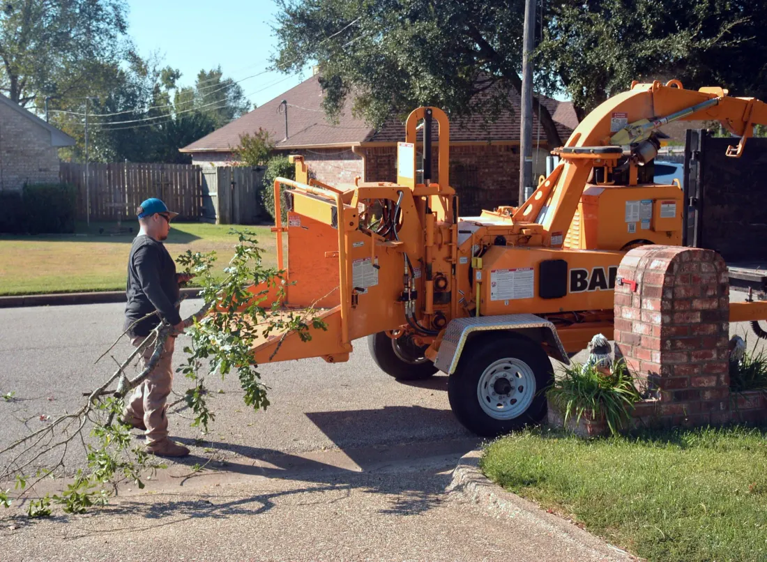 A tree crew member feeding branches into a wood chipper parked in a suburban driveway